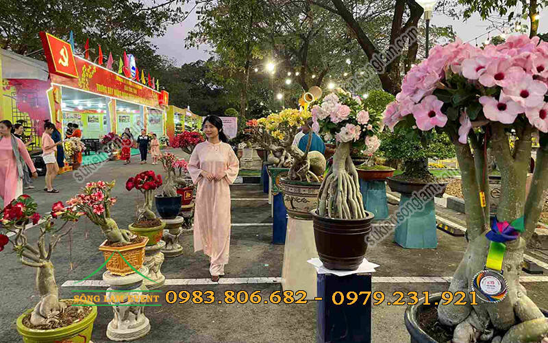 Cho thuê nhà bạt tổ chức Hội hoa xuân Bình Dương 2025 Cho thuê nhà bạt tổ chức Hội hoa xuân Bình Dương 2025