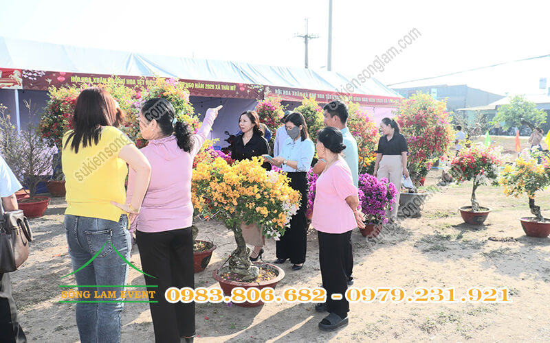 Cho thuê gian hàng hội chợ tổ chức Hội hoa Xuân - Chợ hoa Tết xã Thái Mỹ