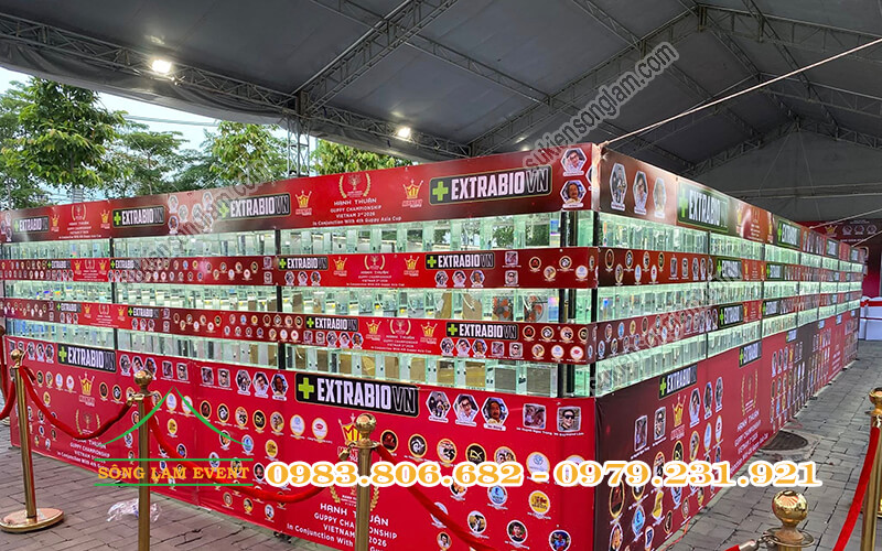 Cho thuê nhà bạt tổ chức Hanhthuan Guppy Championship vietnam 3rd 2026